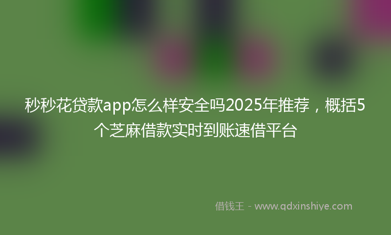 秒秒花贷款app怎么样安全吗2025年推荐，概括5个芝麻借款实时到账速借平台
