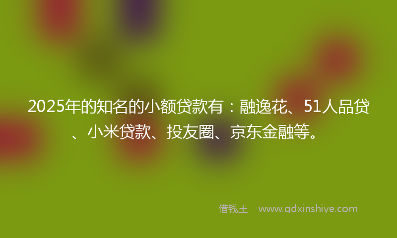 2025年的知名的小额贷款有：融逸花、51人品贷、小米贷款、投友圈、京东金融等。