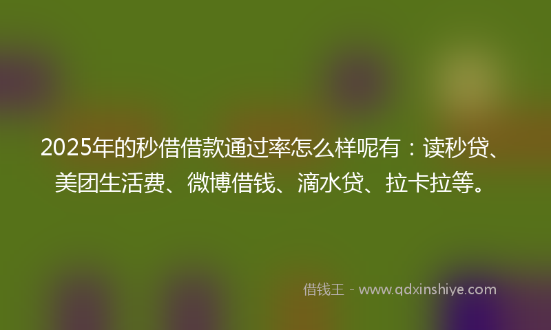2025年的秒借借款通过率怎么样呢有：读秒贷、美团生活费、微博借钱、滴水贷、拉卡拉等。