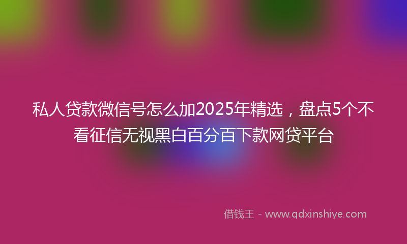 私人贷款微信号怎么加2025年精选，盘点5个不看征信无视黑白百分百下款网贷平台