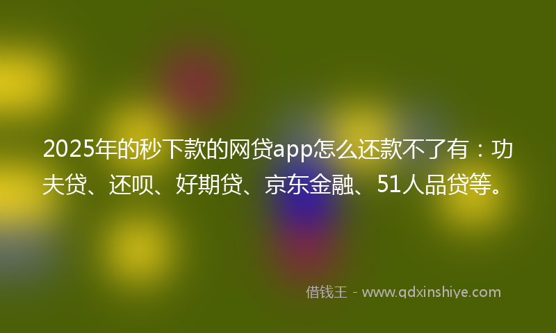 2025年的秒下款的网贷app怎么还款不了有：功夫贷、还呗、好期贷、京东金融、51人品贷等。