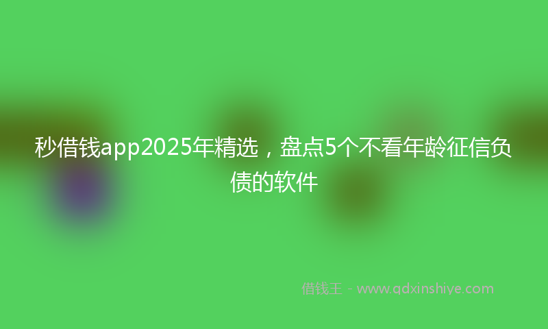 秒借钱app2025年精选，盘点5个不看年龄征信负债的软件