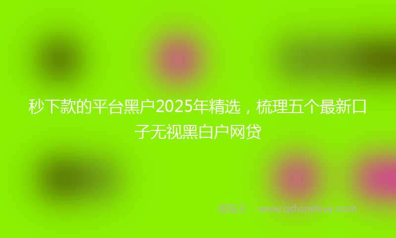 秒下款的平台黑户2025年精选，梳理五个最新口子无视黑白户网贷