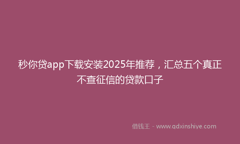 秒你贷app下载安装2025年推荐，汇总五个真正不查征信的贷款口子
