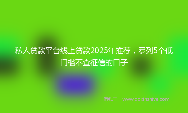 私人贷款平台线上贷款2025年推荐，罗列5个低门槛不查征信的口子
