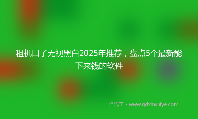 租机口子无视黑白2025年推荐，盘点5个最新能下来钱的软件