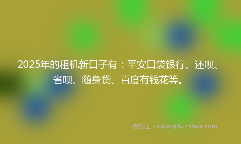 2025年的租机新口子有：平安口袋银行、还呗、省呗、随身贷、百度有钱花等。