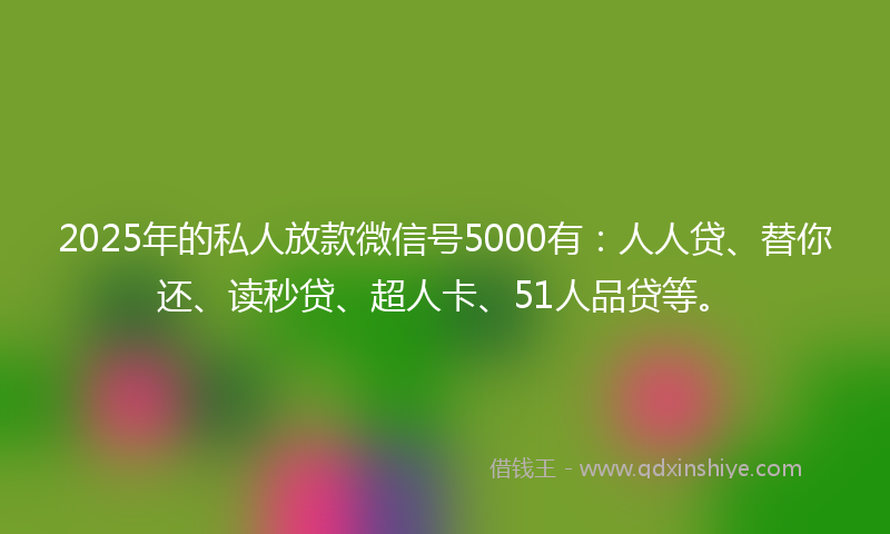 2025年的私人放款微信号5000有：人人贷、替你还、读秒贷、超人卡、51人品贷等。