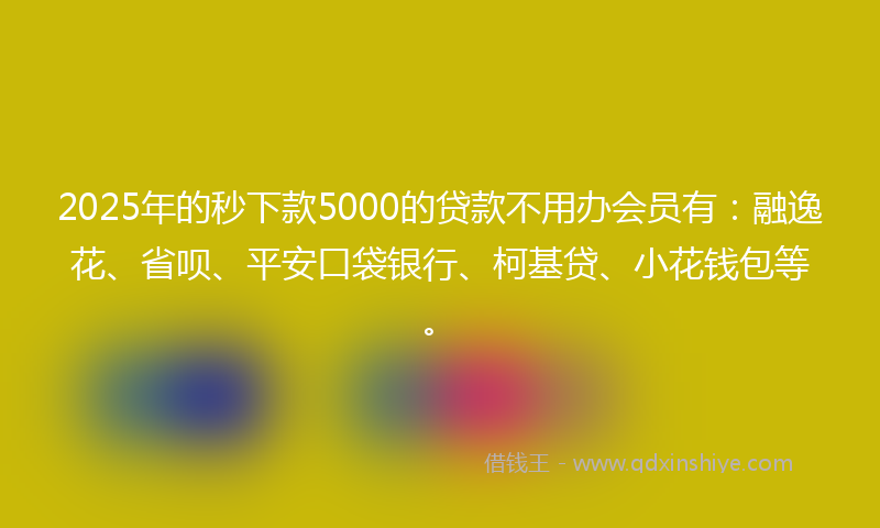2025年的秒下款5000的贷款不用办会员有：融逸花、省呗、平安口袋银行、柯基贷、小花钱包等。