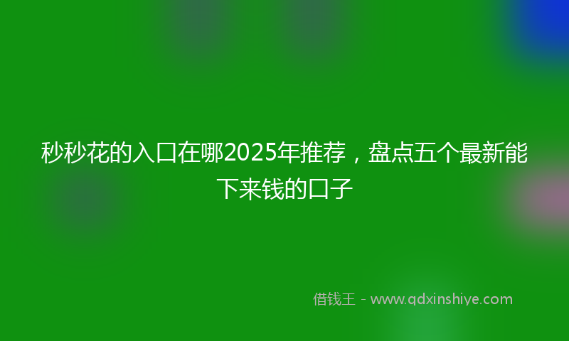 秒秒花的入口在哪2025年推荐，盘点五个最新能下来钱的口子