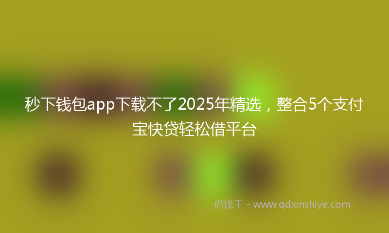 秒下钱包app下载不了2025年精选，整合5个支付宝快贷轻松借平台