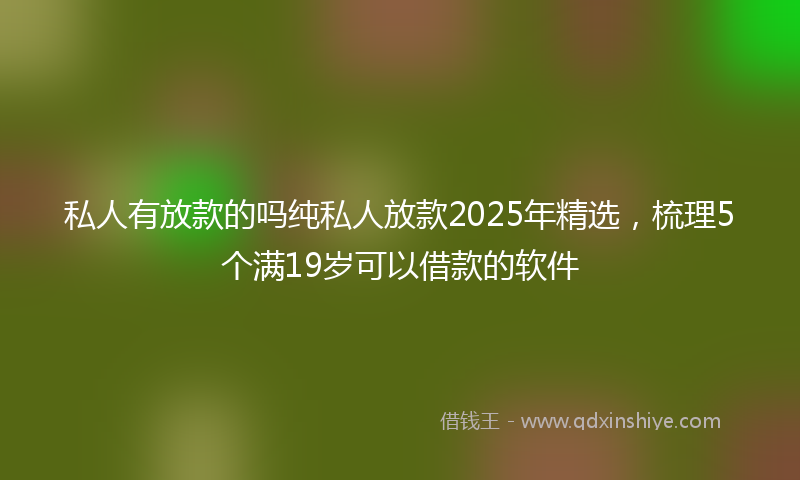 私人有放款的吗纯私人放款2025年精选，梳理5个满19岁可以借款的软件