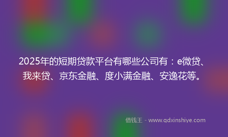 2025年的短期贷款平台有哪些公司有：e微贷、我来贷、京东金融、度小满金融、安逸花等。