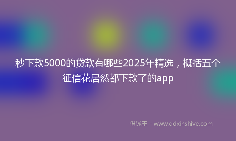 秒下款5000的贷款有哪些2025年精选，概括五个征信花居然都下款了的app