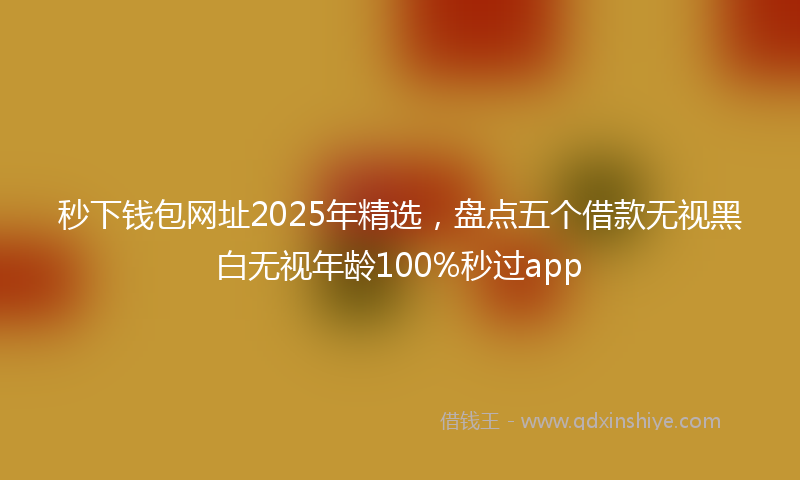 秒下钱包网址2025年精选，盘点五个借款无视黑白无视年龄100%秒过app