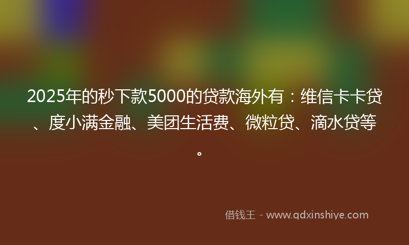 2025年的秒下款5000的贷款海外有：维信卡卡贷、度小满金融、美团生活费、微粒贷、滴水贷等。