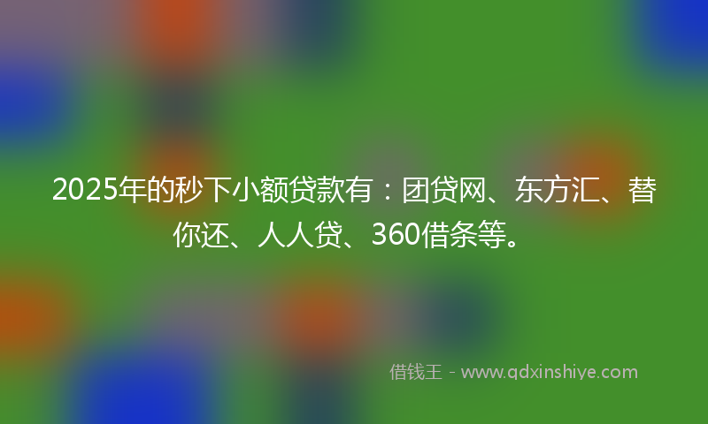 2025年的秒下小额贷款有：团贷网、东方汇、替你还、人人贷、360借条等。