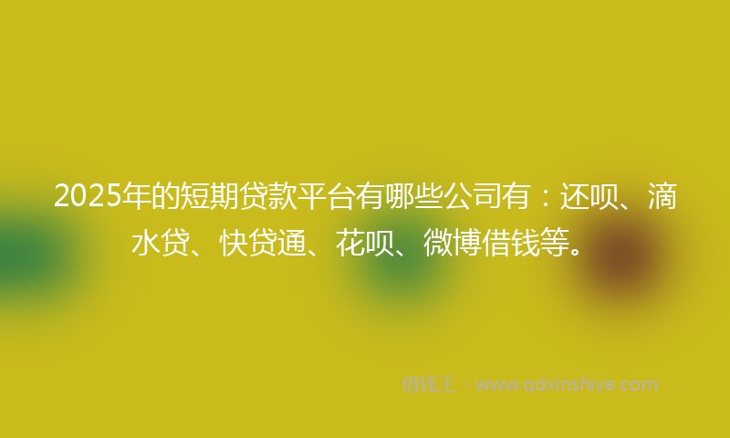 2025年的短期贷款平台有哪些公司有：还呗、滴水贷、快贷通、花呗、微博借钱等。
