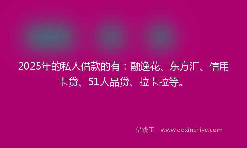 2025年的私人借款的有：融逸花、东方汇、信用卡贷、51人品贷、拉卡拉等。