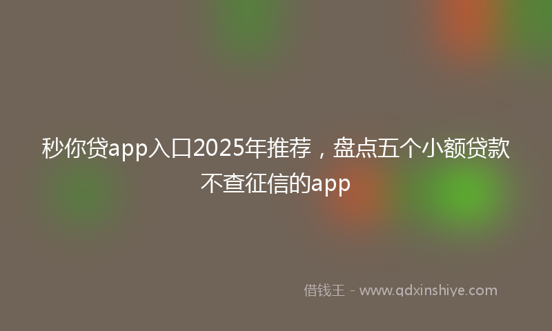 秒你贷app入口2025年推荐，盘点五个小额贷款不查征信的app