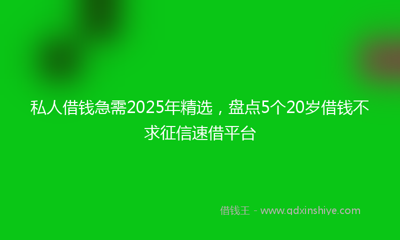 私人借钱急需2025年精选，盘点5个20岁借钱不求征信速借平台