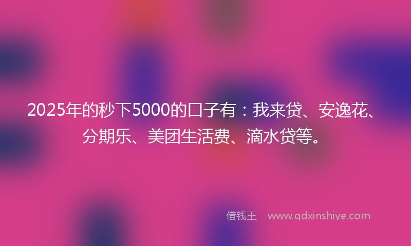 2025年的秒下5000的口子有：我来贷、安逸花、分期乐、美团生活费、滴水贷等。
