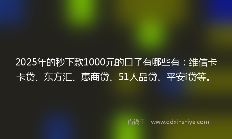 2025年的秒下款1000元的口子有哪些有：维信卡卡贷、东方汇、惠商贷、51人品贷、平安i贷等。