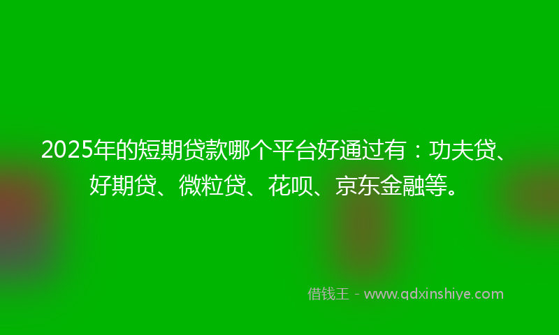 2025年的短期贷款哪个平台好通过有：功夫贷、好期贷、微粒贷、花呗、京东金融等。