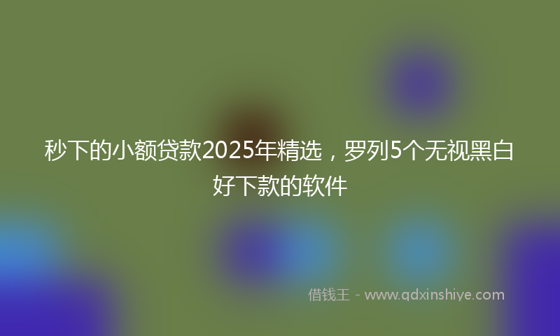 秒下的小额贷款2025年精选，罗列5个无视黑白好下款的软件
