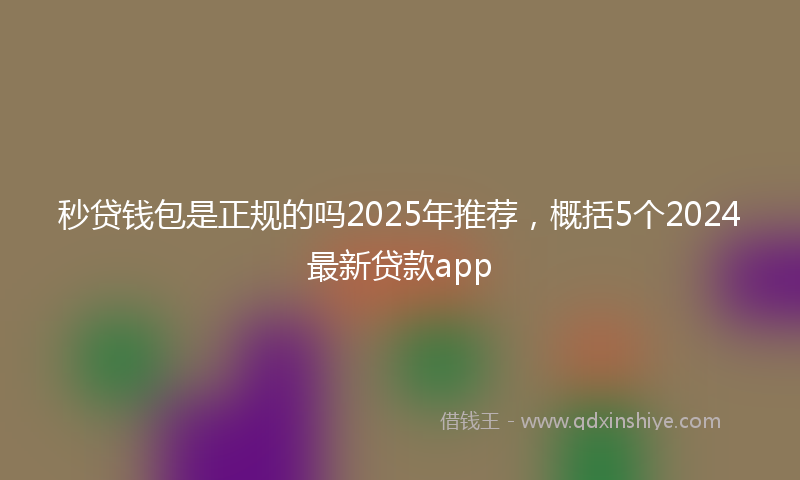 秒贷钱包是正规的吗2025年推荐，概括5个2024最新贷款app