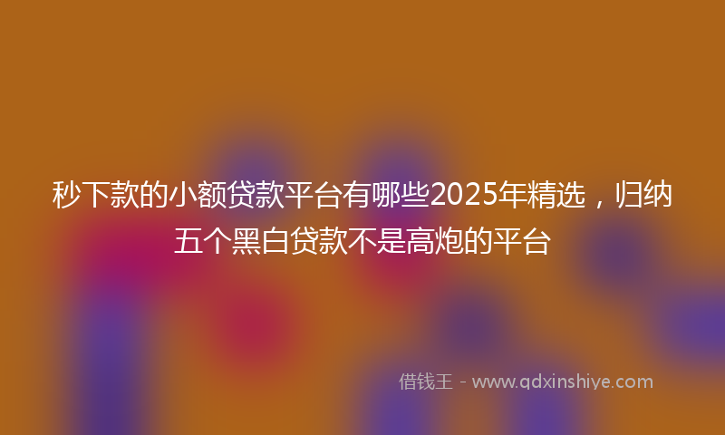 秒下款的小额贷款平台有哪些2025年精选，归纳五个黑白贷款不是高炮的平台