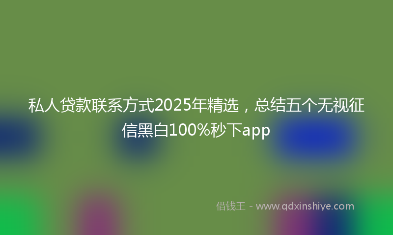 私人贷款联系方式2025年精选，总结五个无视征信黑白100%秒下app