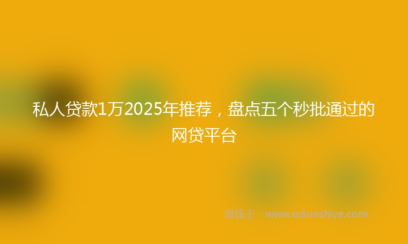 私人贷款1万2025年推荐，盘点五个秒批通过的网贷平台
