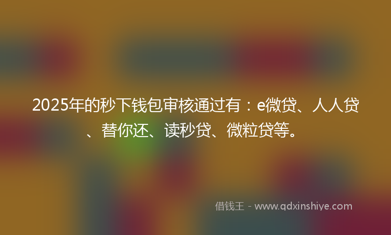 2025年的秒下钱包审核通过有：e微贷、人人贷、替你还、读秒贷、微粒贷等。