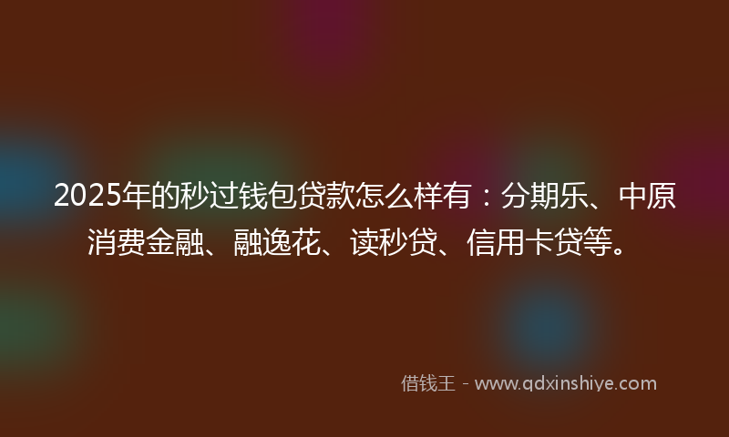 2025年的秒过钱包贷款怎么样有：分期乐、中原消费金融、融逸花、读秒贷、信用卡贷等。