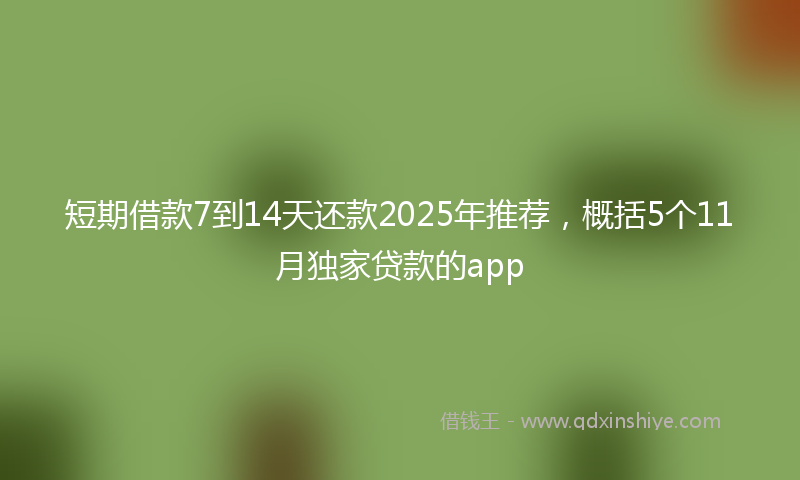 短期借款7到14天还款2025年推荐，概括5个11月独家贷款的app