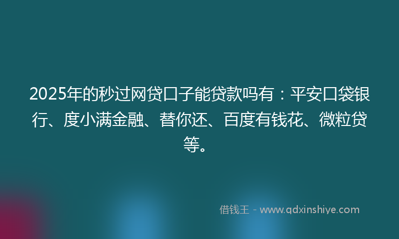 2025年的秒过网贷口子能贷款吗有：平安口袋银行、度小满金融、替你还、百度有钱花、微粒贷等。