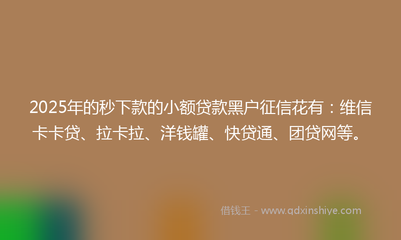 2025年的秒下款的小额贷款黑户征信花有：维信卡卡贷、拉卡拉、洋钱罐、快贷通、团贷网等。