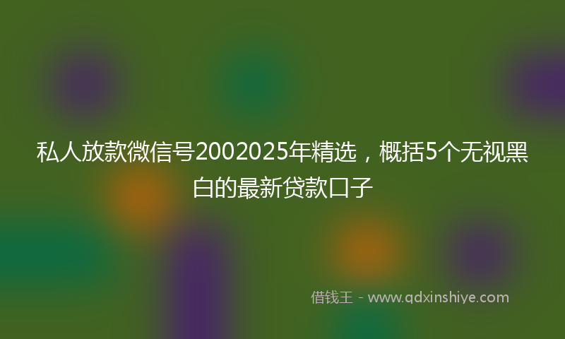 私人放款微信号2002025年精选,概括5个无视黑白的最新贷款口子