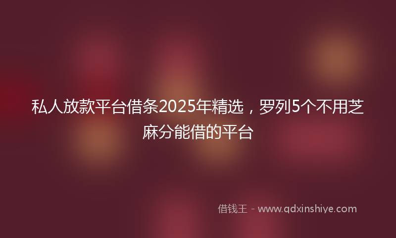 私人放款平台借条2025年精选,罗列5个不用芝麻分能借的平台