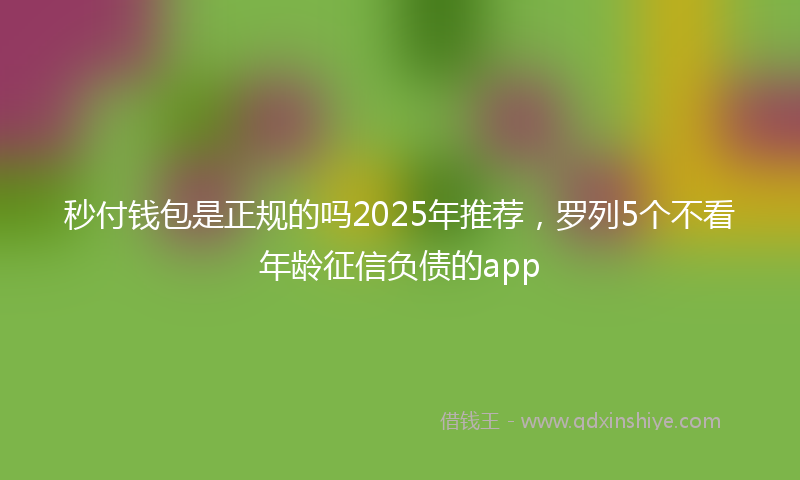 秒付钱包是正规的吗2025年推荐，罗列5个不看年龄征信负债的app