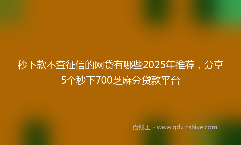 秒下款不查征信的网贷有哪些2025年推荐，分享5个秒下700芝麻分贷款平台