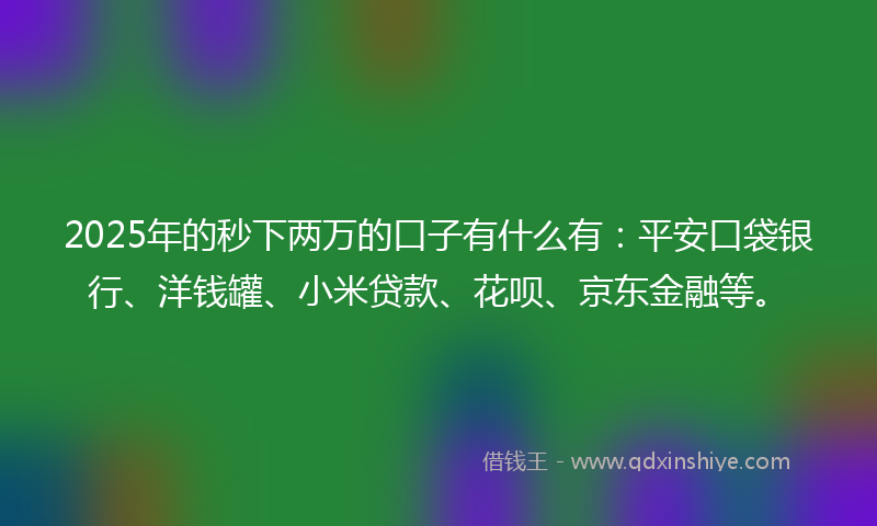 2025年的秒下两万的口子有什么有：平安口袋银行、洋钱罐、小米贷款、花呗、京东金融等。