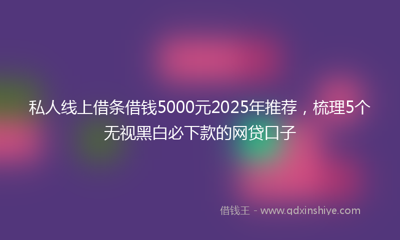 私人线上借条借钱5000元2025年推荐,梳理5个无视黑白必下款的网贷口子