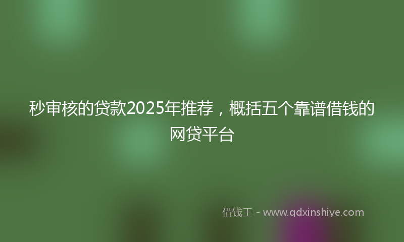 秒审核的贷款2025年推荐，概括五个靠谱借钱的网贷平台