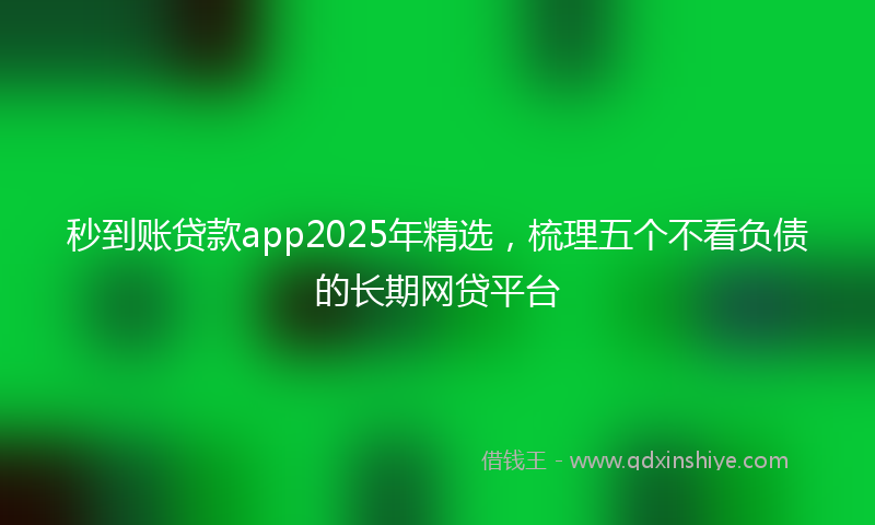 秒到账贷款app2025年精选，梳理五个不看负债的长期网贷平台