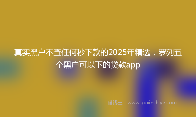 真实黑户不查任何秒下款的2025年精选，罗列五个黑户可以下的贷款app