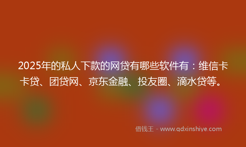 2025年的私人下款的网贷有哪些软件有：维信卡卡贷、团贷网、京东金融、投友圈、滴水贷等。