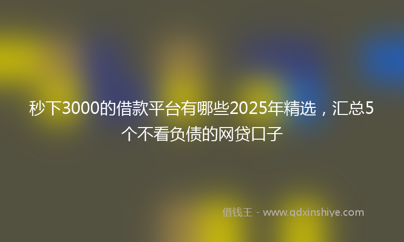 秒下3000的借款平台有哪些2025年精选，汇总5个不看负债的网贷口子