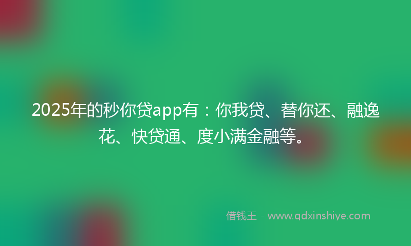 2025年的秒你贷app有：你我贷、替你还、融逸花、快贷通、度小满金融等。